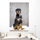 Female Rottweiler Sitting On Top Of A Picnic Table During A Snow Storm Wall Mural