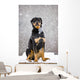 Female Rottweiler Sitting On Top Of A Picnic Table During A Snow Storm Wall Mural