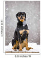 Female Rottweiler Sitting On Top Of A Picnic Table During A Snow Storm Wall Mural