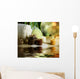 Spa and Body Care Treatmentblurred Background Wall Mural