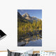 Lake O'hara, Yoho National Park, British Columbia Wall Mural