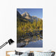 Lake O'hara, Yoho National Park, British Columbia Wall Mural