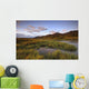 Pink Clouds At Sunrise Over The Cloudy Range Wall Mural