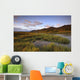 Pink Clouds At Sunrise Over The Cloudy Range Wall Mural