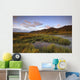 Pink Clouds At Sunrise Over The Cloudy Range Wall Mural