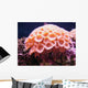 Underwater Series Wall Decal
