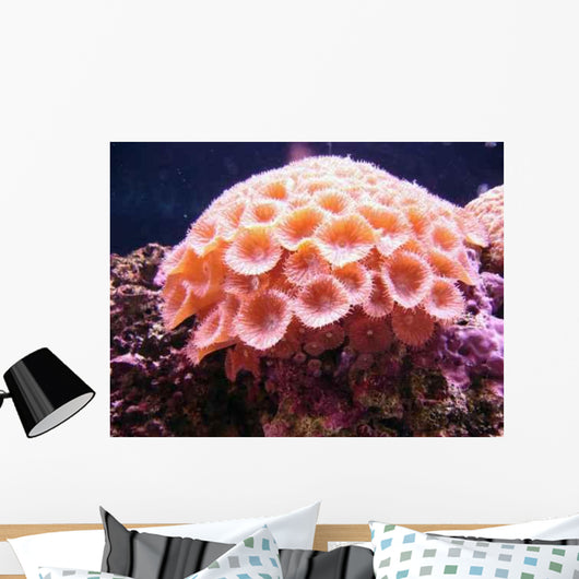 Underwater Series Wall Decal