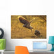 Immature Great Horned Owls Backlit In A Grass Field, Saskatchewan Wall Mural