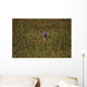 Mule Deer In Wheat Field, Saskatchewan Wall Mural