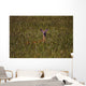 Mule Deer In Wheat Field, Saskatchewan Wall Mural