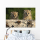 Canadian Lynx Kittens Looking Over A Log, Alaska Wall Mural