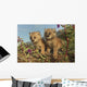 Canadian Lynx Kittens, Alaska Wall Mural