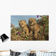 Canadian Lynx Kittens, Alaska Wall Mural