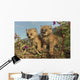 Canadian Lynx Kittens, Alaska Wall Mural