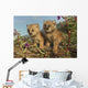 Canadian Lynx Kittens, Alaska Wall Mural