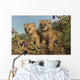 Canadian Lynx Kittens, Alaska Wall Mural