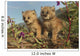 Canadian Lynx Kittens, Alaska Wall Mural