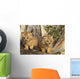 Canadian Lynx Kittens, Alaska Wall Mural