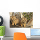 Canadian Lynx Kittens, Alaska Wall Mural