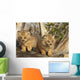 Canadian Lynx Kittens, Alaska Wall Mural