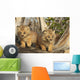 Canadian Lynx Kittens, Alaska Wall Mural
