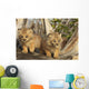 Canadian Lynx Kittens, Alaska Wall Mural