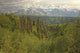 The Alsek Mountains Along The Haines Highway, Yukon Wall Mural