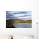 Teslin River, Yukon Wall Mural