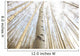 Aspen Grove, Yukon Wall Mural