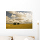 Artist's Choice Wall Mural