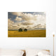 Artist's Choice Wall Mural