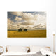 Artist's Choice Wall Mural