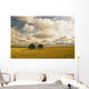Artist's Choice Wall Mural