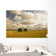 Artist's Choice Wall Mural