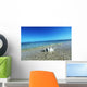 Sea Shell Wall Mural