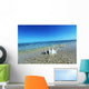 Sea Shell Wall Mural