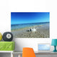 Sea Shell Wall Mural