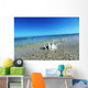 Sea Shell Wall Mural