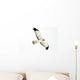 Northern Harrier Hawk, Yukon Wall Decal