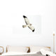 Northern Harrier Hawk, Yukon Wall Decal