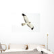 Northern Harrier Hawk, Yukon Wall Decal