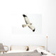 Northern Harrier Hawk, Yukon Wall Decal