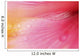Close Up Of Giant Pink Iris, Hilo, Hawaii Wall Mural