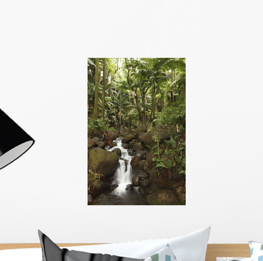 Stream Running Through The Rainforest Near Hilo, Big Island, Hawaii Wall Mural