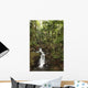 Stream Running Through The Rainforest Near Hilo, Big Island, Hawaii Wall Mural