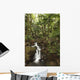 Stream Running Through The Rainforest Near Hilo, Big Island, Hawaii Wall Mural
