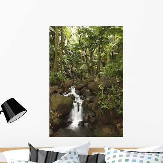 Stream Running Through The Rainforest Near Hilo, Big Island, Hawaii Wall Mural