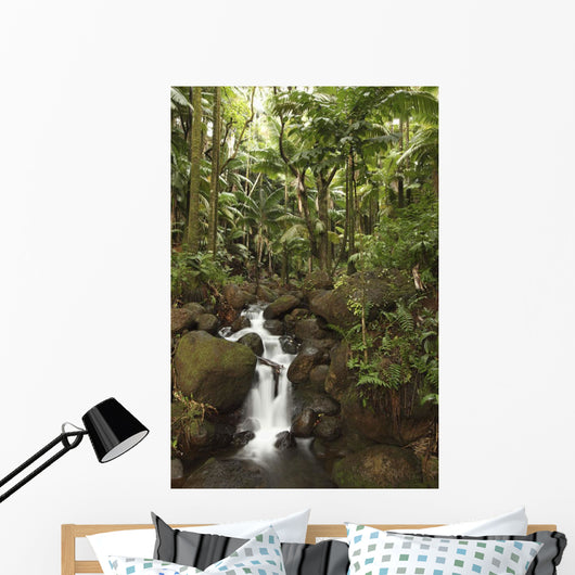 Stream Running Through The Rainforest Near Hilo, Big Island, Hawaii Wall Mural