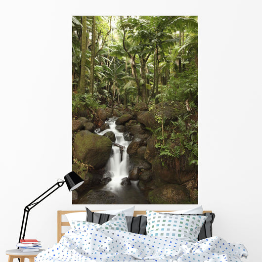 Stream Running Through The Rainforest Near Hilo, Big Island, Hawaii Wall Mural