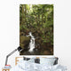 Stream Running Through The Rainforest Near Hilo, Big Island, Hawaii Wall Mural